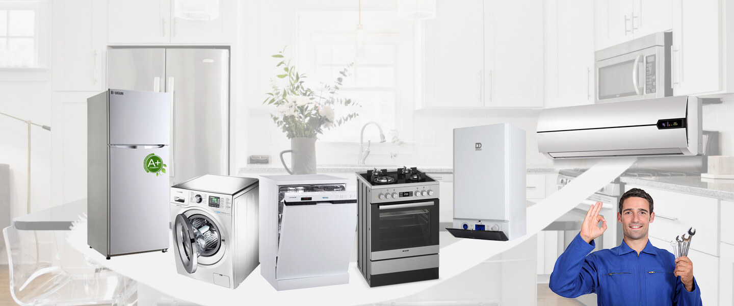 Ezine Electrolux Servisi